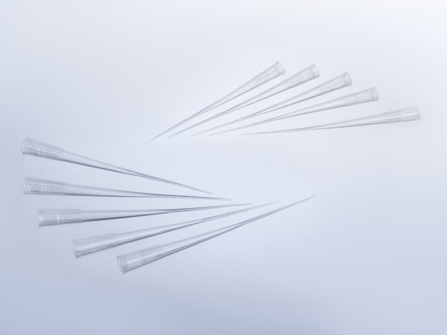 10 Gel-Load Pipette Tips. 5 on the left side and 5 on the right side on a grey background.