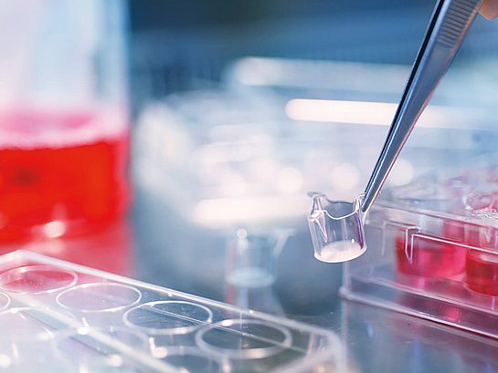 ThinCert® Cell Culture Inserts