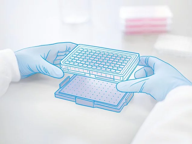Magnetic 3D 96 well bioprinting plate
