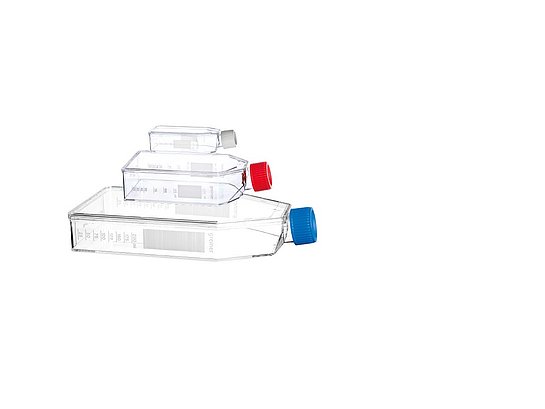 Two roller bootels on the left side with different sizes. On the right side are three cell culture flasks in three different sizes and different cap colours. The bigger one has a blue cap. The middle one has a red cap and the smalles one has a white cap.