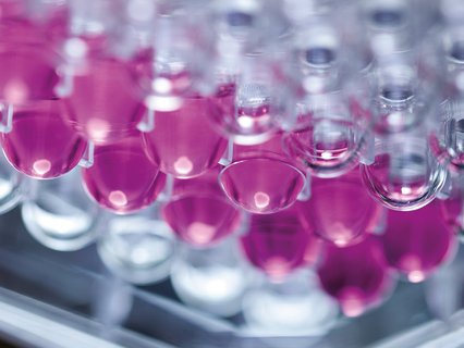 Cell repellent surface